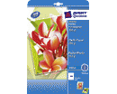 CARTA FOTOGRAFICA INKJET PREMIUM LUCIDA A4 210 x 297mm 250gr 20ff