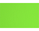 CARTONCINO CARTACREA 35 x 50cm LISCIO/RUVIDO 220gr VERDE PISELLO
