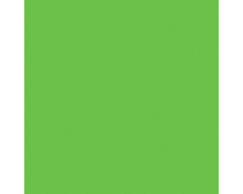 CARTONCINO FLUORESCENTE 50 x 70cm LISCIA 250gr VERDE