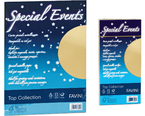 CARTA SPECIALE METALLIZZATA 120gr BUSTE ARGENTO 110 x 220mm 10pz.