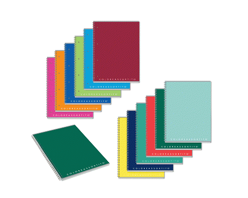 QUADERNO SPIRALATO IN PPL SENZA FORI 120pg 80gr 60fg 10,5 x 14,8cm UN RIGO