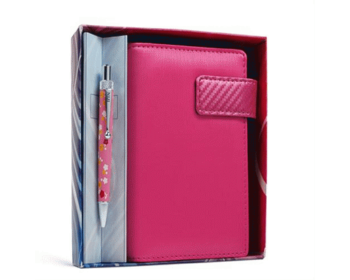 SET ORGANIZER CON PENNA cm. 10 x 15