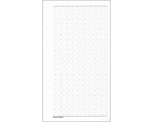 RICAMBIO ORGANIZER FOGLI A QUADRETTI 95 x 170mm