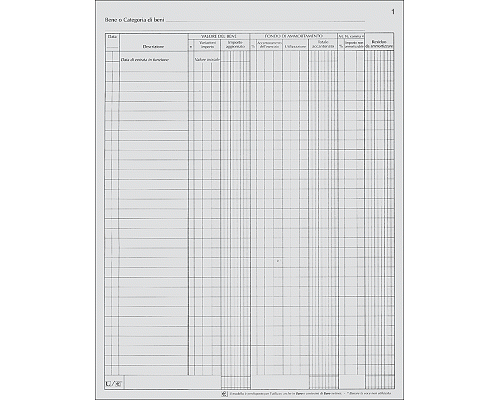 REGISTRO CESPITI AMMORTIZZABILI 245 x 310mm 45 PAGINE NUMERA 10cop/fg