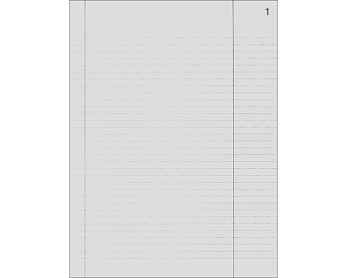 REGISTRO VERBALI CONSIGLIO AMMINISTRAZIONE 245 x 310mm PAGINE NUMERATE 96cop/fg