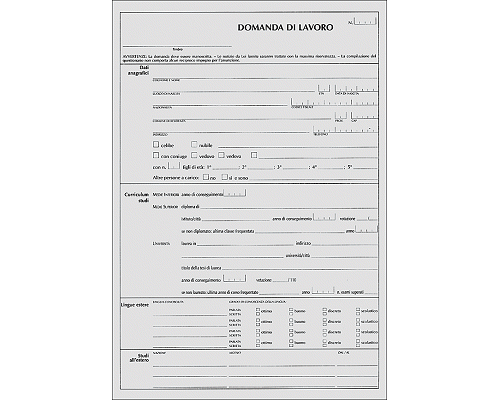 MODULO DOMANDA DI IMPIEGO 210 x 297mm 