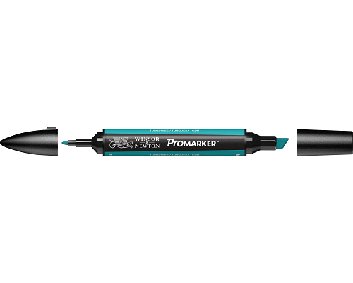 PENNARELLO PROMARKER PUNTA DOPPIA SCALPELLO E FINE A BASE DI TURQUOISE (C247)