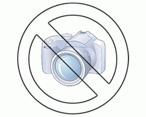 SABBIA CINETICA IN SET 