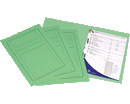 CARTELLINE CON SPILLO/PRESSINO FASTENER CARTONCINO 285grmm VERDE